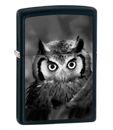 16F006 - Owl